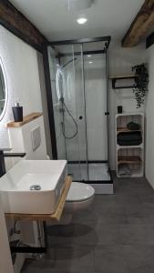 ein Bad mit einer Dusche, einem WC und einem Waschbecken in der Unterkunft Ferienwohnung im Historischen Schwarzwaldhaus in Wieden