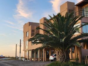 a palm tree in front of a building at Complejo Ali Lafken in Las Grutas