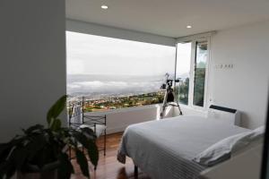 a bedroom with a bed and a large window at Vistas Del Valle; piscina, wifi bbq... in Santa Cruz de Tenerife
