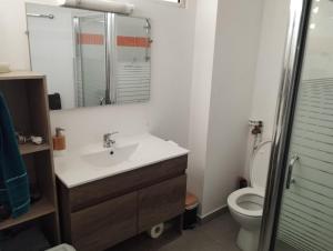 a bathroom with a sink and a toilet at Loveroom avec siège massant et spa in Cayenne