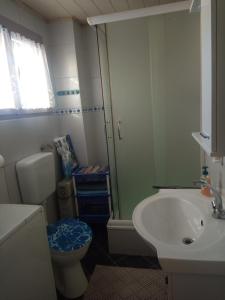 a bathroom with a toilet and a sink at Apartman 1 RIBIČ in Ogulin