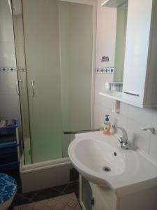 a bathroom with a white sink and a shower at Apartman 1 RIBIČ in Ogulin