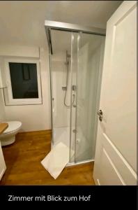 a shower with a glass door in a bathroom at Reiter's Apartments am Eichelberg in Gaggenau