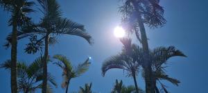 a group of palm trees against a blue sky at Red Rose in Cabo Frio