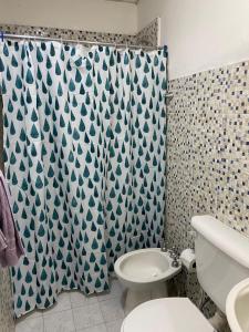 y baño con aseo y cortina de ducha. en ms.propiedadesviedma en Viedma