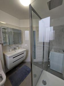 a bathroom with a shower and a sink and a toilet at Trandafirului Residence Central Suceava in Suceava