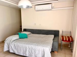 a bedroom with a bed with a green pillow on it at Verde Limon Loft (monoambiente) in San Salvador de Jujuy
