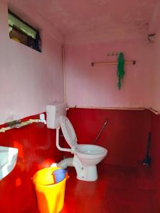 ein Bad mit einem WC und einer roten Wand in der Unterkunft SCENIC HOMESTAY in Cherrapunji