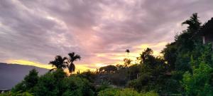 einen Sonnenuntergang mit Palmen und einem wolkigen Himmel in der Unterkunft SCENIC HOMESTAY in Cherrapunji