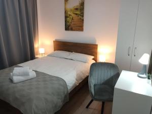 a hotel room with a bed and a chair at Old Town Studio 2 Apartment nr 4 in Baia Mare