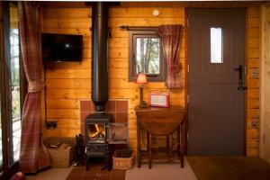 a log cabin with a wood stove in a room at Cedarwood, an intimate and romantic cabin for two. in Icklesham