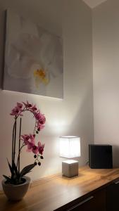 Fotografie z fotogalerie ubytování Apartmán Bára v Černém Dole