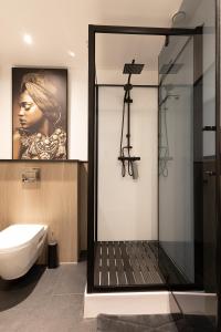 ein Badezimmer mit einer Dusche und einem WC sowie ein Bild in der Unterkunft Het Waterhoentje in Sint Jansklooster