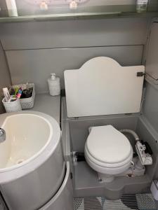 a small bathroom with a toilet and a sink at Bateau plaisance hotel Antibes in Antibes