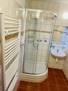 Kylpyhuone majoituspaikassa Penzion Rejviz