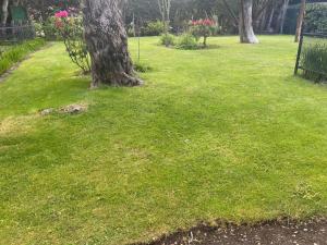 a park with a tree in the grass at Casa Las Margaritas II in San Carlos de Bariloche