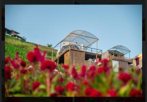 Gallery image of ชูชัยฟาร์มสเตย์โดมฮักวิว in Mon Jam +7 photos