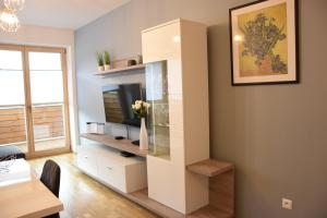 TV a/nebo společenská místnost v ubytování Apartmán Bára