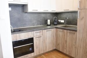 Kuchyň nebo kuchyňský kout v ubytování Apartmán Bára + 37 fotografií
