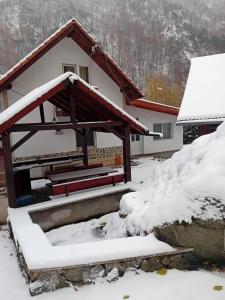 a house covered in snow in front of it at Casa Sebastian - Rau Mare Retezat 