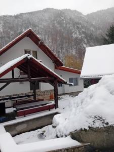 uma casa coberta de neve com um telhado em Casa Sebastian - Rau Mare Retezat 