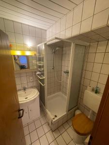a bathroom with a shower and a toilet and a sink at Ferienwohnung Hoffmann in Bad Münder am Deister