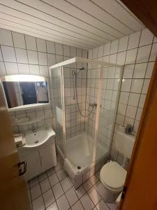 a bathroom with a shower and a toilet and a sink at Ferienwohnung Hoffmann in Bad Münder am Deister