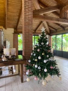 a christmas tree in a room with a desk at Bed & Breakfast Il mio Gelso in Villanova dʼAsti