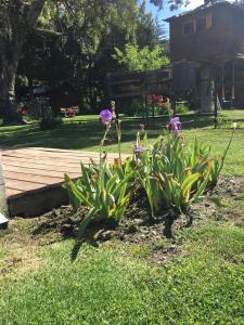 un giardino con fiori nell'erba accanto a una terrazza in legno di Casa Las Margaritas a San Carlos de Bariloche