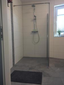 アルテフェーアにあるSTRELASUNDBLICKのバスルーム(ガラスドア付きのシャワー付)