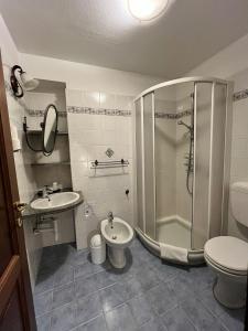 a bathroom with a shower and a toilet and a sink at Agriturismo Edoardo Patrone in Domodossola