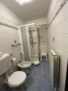 a bathroom with a shower and a toilet and a sink at Agriturismo Edoardo Patrone in Domodossola