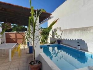 a potted plant sitting next to a swimming pool at Casa Caridade in Reguengos de Monsaraz