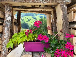 een roze pot bloemen op een vensterbank bij Ferienwohnung im Historischen Schwarzwaldhaus in Wieden