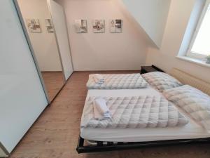 two twin beds in a room with a mirror at Gemütliches Haus mit schönem Garten in Vienna