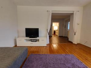 una sala de estar con TV de pantalla plana en una cómoda en Gemütliches Haus mit schönem Garten, en Viena