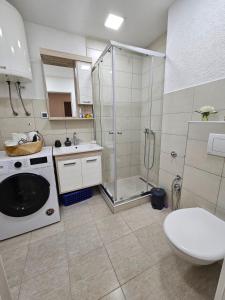 Apartman Olimpijski Vučko tesisinde bir banyo