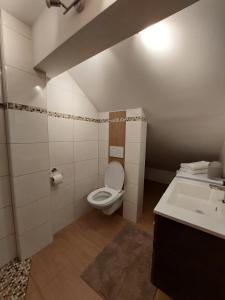 ein Bad mit einem WC und einem Waschbecken in der Unterkunft Apartment Ledermoos in Mauterndorf