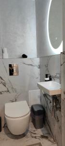 La salle de bains est pourvue de toilettes blanches et d'un lavabo. dans l'établissement The Velvet, à Chişinău