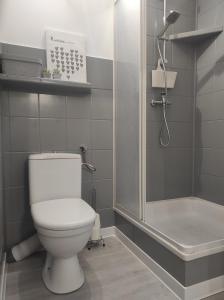 a bathroom with a toilet and a shower at Apartament Piłsudskiego in Szczytno