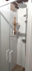 La salle de bains est pourvue d'une douche et d'une étagère en bois. dans l'établissement Blois City - Le Petit Saint Jean, à Blois