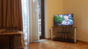Телевизор и/или развлекательный центр в Tengiz`s Apartment on Gorgiladze