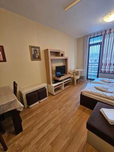 a room with a bed and a television in it at Aspen Valley B304 in Razlog