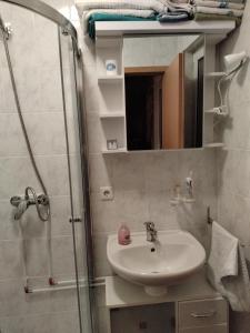 Apartment am Teich في أورينغين: حمام مع حوض ودش