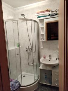 uma casa de banho com um chuveiro e um lavatório. em Apartment am Teich em Öhringen