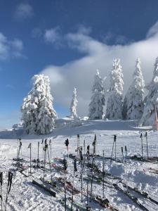 Bewegte Berge Apartments v zimě