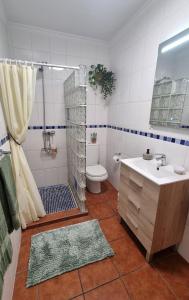 a bathroom with a shower and a toilet and a sink at Casa Alexandra in Alboy