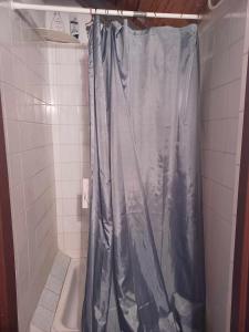 a shower with a blue shower curtain in a bathroom at WW Wzdłuż Wisły in Józefów