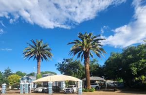 two palm trees and a building with a blue sky at Picanha Guesthouse in Heidelberg