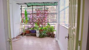 een kamer met planten in potten in een raam bij La Vie - Saigon Homestay Cafe & Tea in Ho Chi Minh-stad